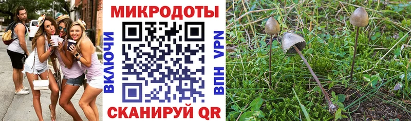 Галлюциногенные грибы прущие грибы  Купить где  Рыльск 